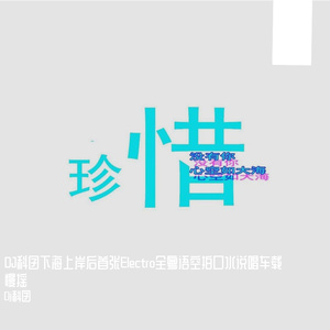 Dj科囝-DJ科囝下海上岸后首张Electro全粤语空拍口水说唱车载慢摇（Dj科囝 remix）