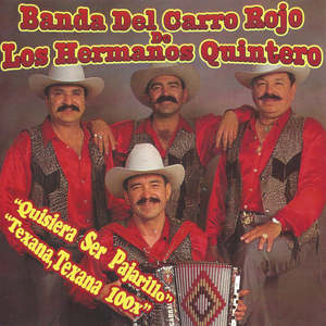 Borradita Dientes de Oro