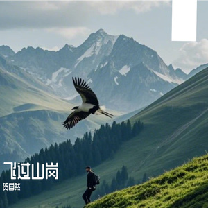 飞过山岗-整曲
