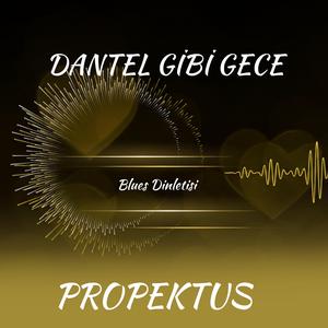 Dantel Gibi Gece | Türkçe Blues (Official Audio)