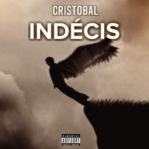 INDECIS