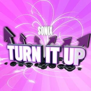 Turn It Up (Rave Radio Remix)