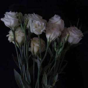 署名（cover 尤长靖）