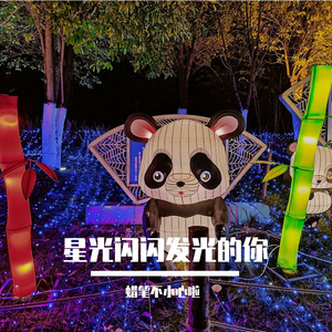 《夜空中最亮的星》