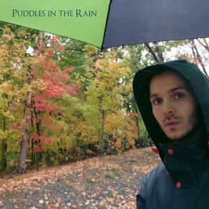Puddles in the Rain