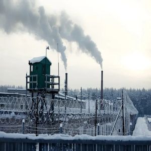 Долгожданный новый год