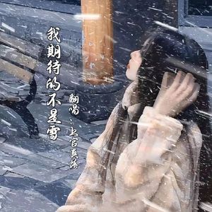 我期待的不是雪 (而是有你的冬天)