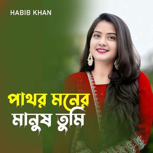 পাথর মনের মানুষ তুমি