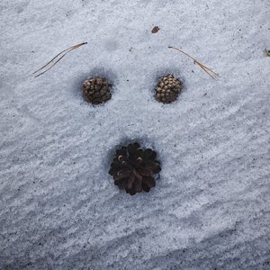 慢热的光