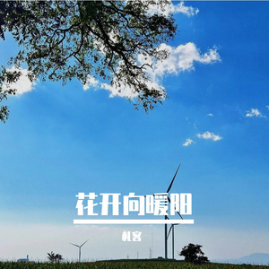 花开向暖阳