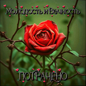Потрачено