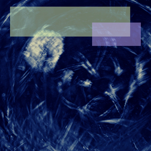 Sludgy Elevation