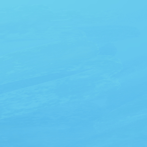 ds.flac