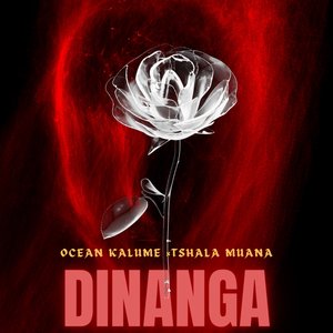 Dinanga