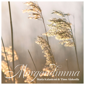Morgondimma