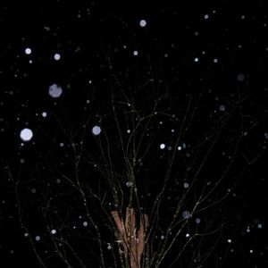 冷夜（cover 陈默之）