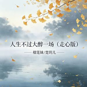 人生不过大醉一场(走心版)