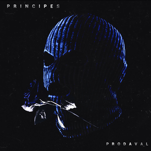 PRINCIPES