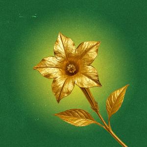 FLOR DIORO