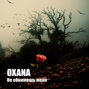 Не обнимешь меня