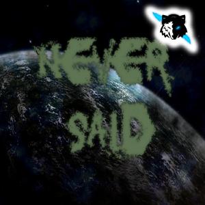 Never Said (Original Mix)