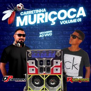 16 CD CARRETINHA MURIÇOCA VOL.01 AO VIVO DJ PENTIADO E RICARDINHO NA VOZ (Ao vivo)