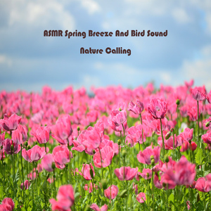 ASMR 봄바람과 새소리