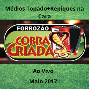 Você partiu meu coração - FORROZÃO COBRA CRIADA