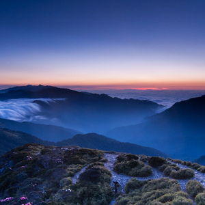 干声旋律 (DJ版)