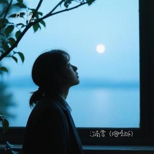 江南雪 (烟嗓版) (Cover 沁心小筑)