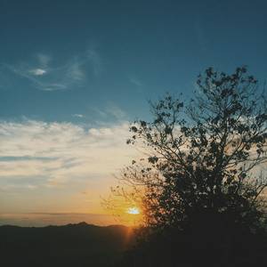 SESO BAMANDI TANGIH