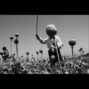 Systematic Destruction