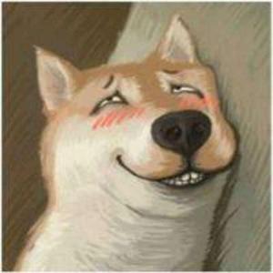 车载重低音(低音喇叭测试)