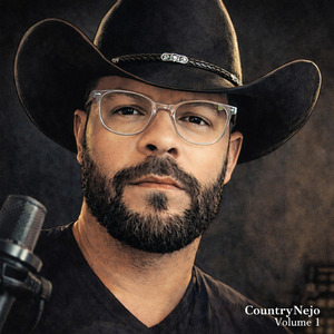 Não Aprendi Dizer Adeus (Cover)