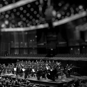 温情的情感在管弦中流淌 (The warm emotions flow in the orchestra)