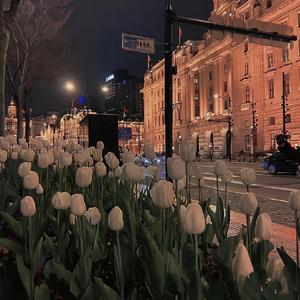 陪你度过漫长岁月（cover：张钰琪）