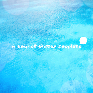 하늘에서 내려다본 바다