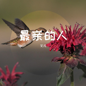 最亲的人（翻自 陆海涛）