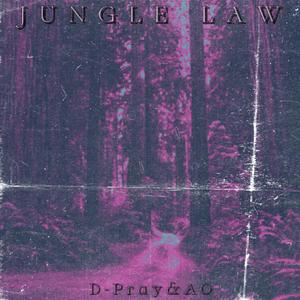 Jungle Law（prod by kiliankeys)
