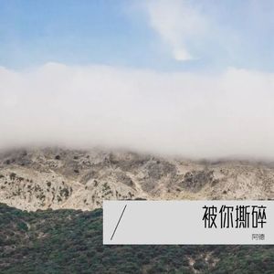 被你撕碎