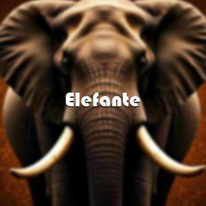 Elefante