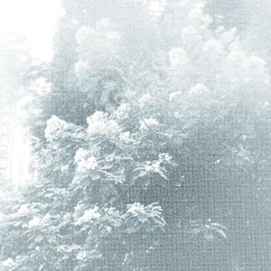 水火不容｜原唱_江若琳