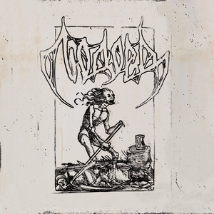 Дорога домой