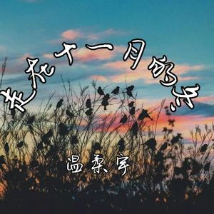 走在十一月的冬(伴奏)