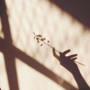 有没有（翻自 群星）