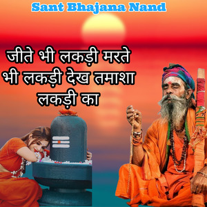 जीते भी लकड़ी मरते भी लकड़ी देख तमाशा लकड़ी का