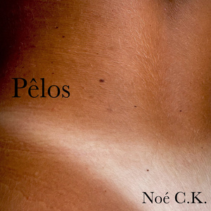 Pêlos