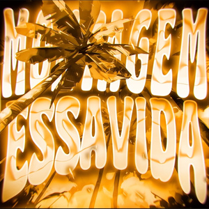 MONTAGEM ESSA VIDA (Ultra Slowed)