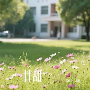 甘甜 伴奏
