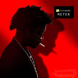 Meter